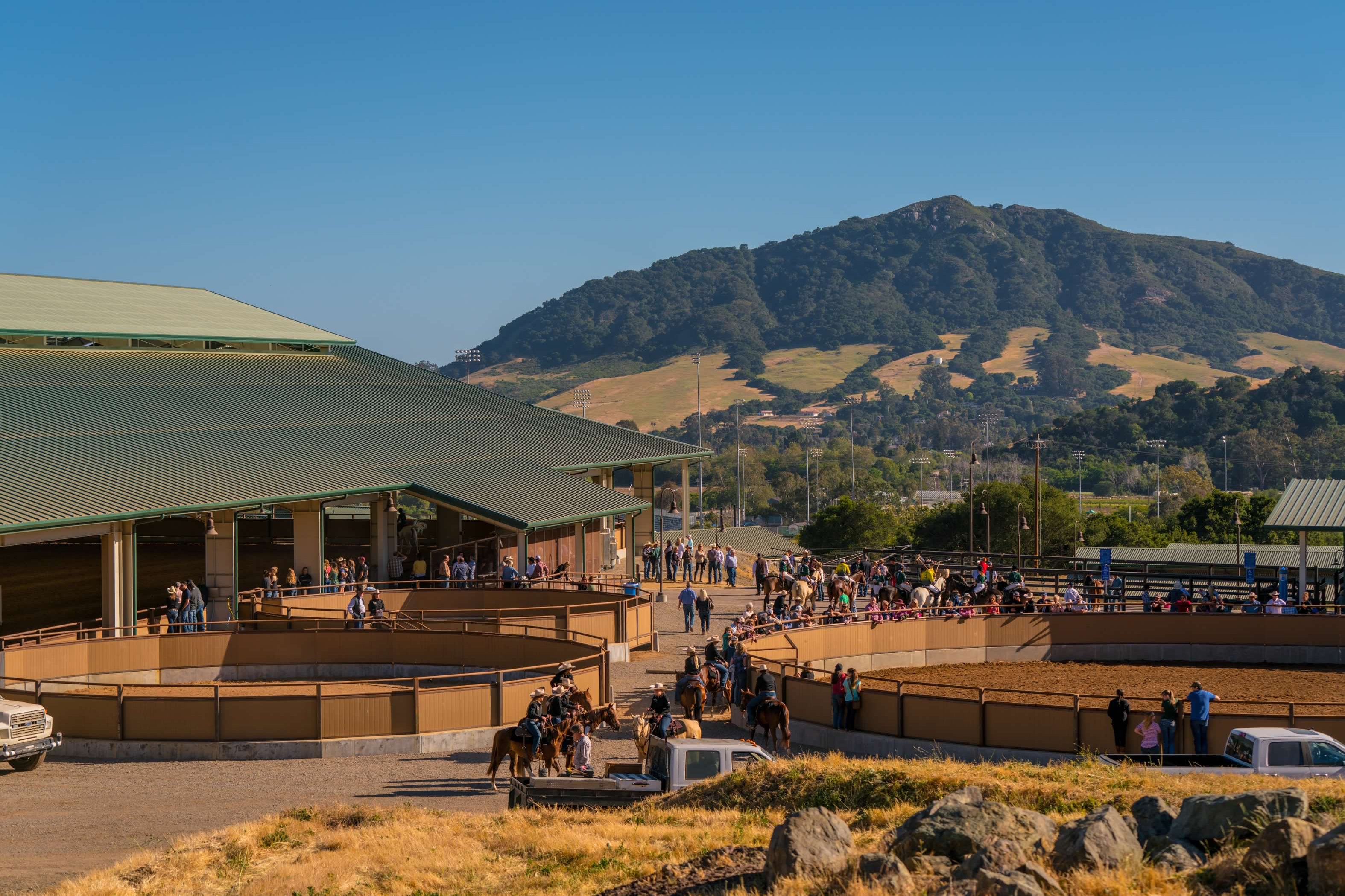 Cal Poly Oppenheimer Equine unit