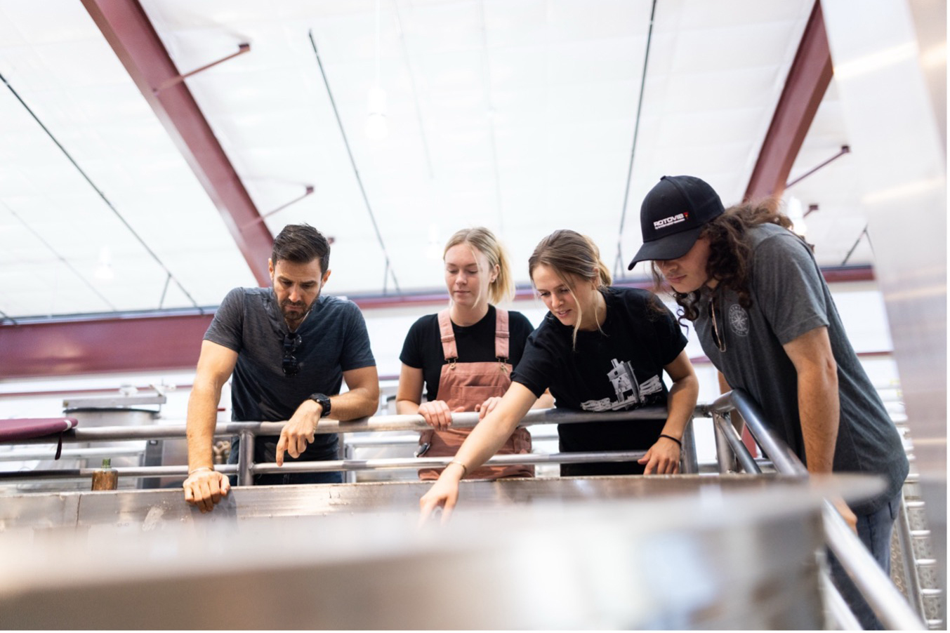 Students in the Wine and Viticulture Department helping with the wine making process