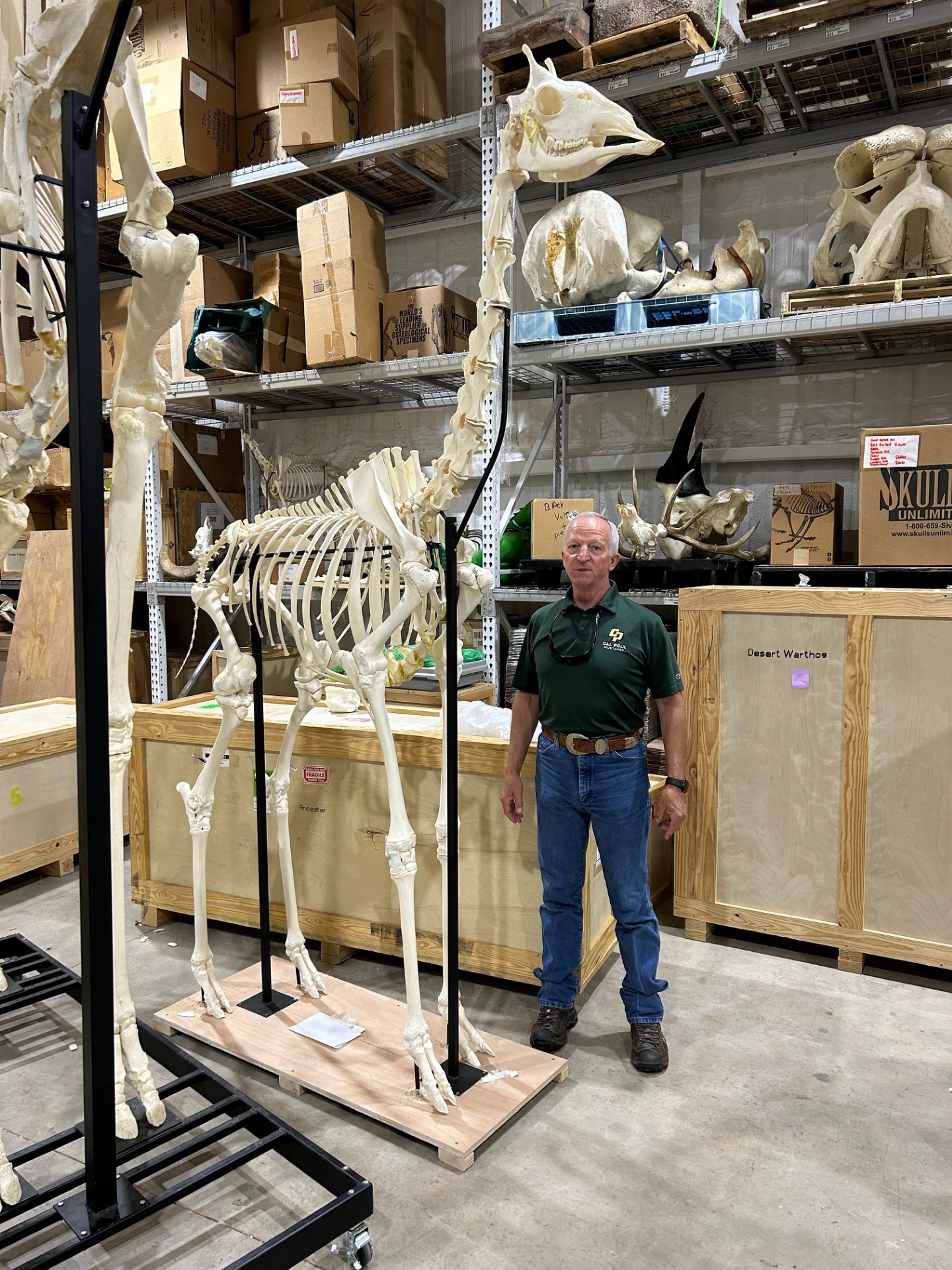 George Gallagher, head of the Animal Science Department