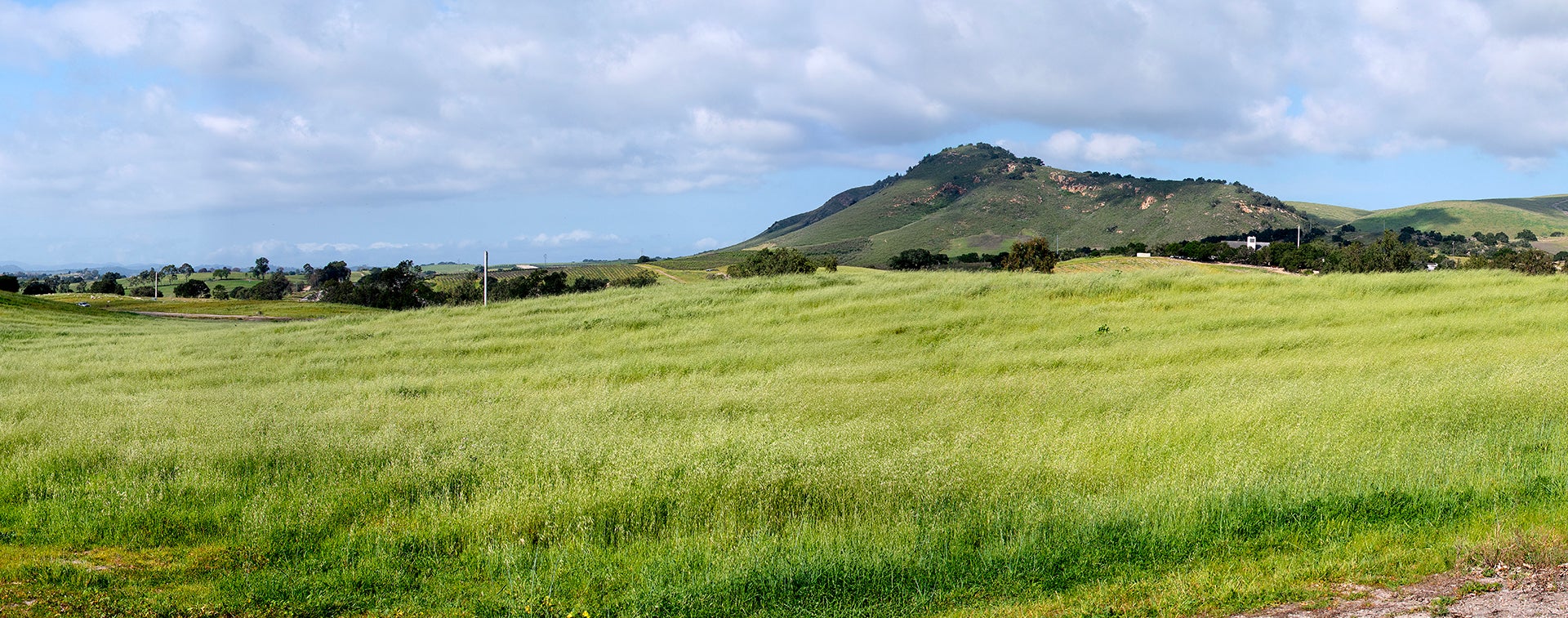 Bartleson Ranch in Arroyo Grande.