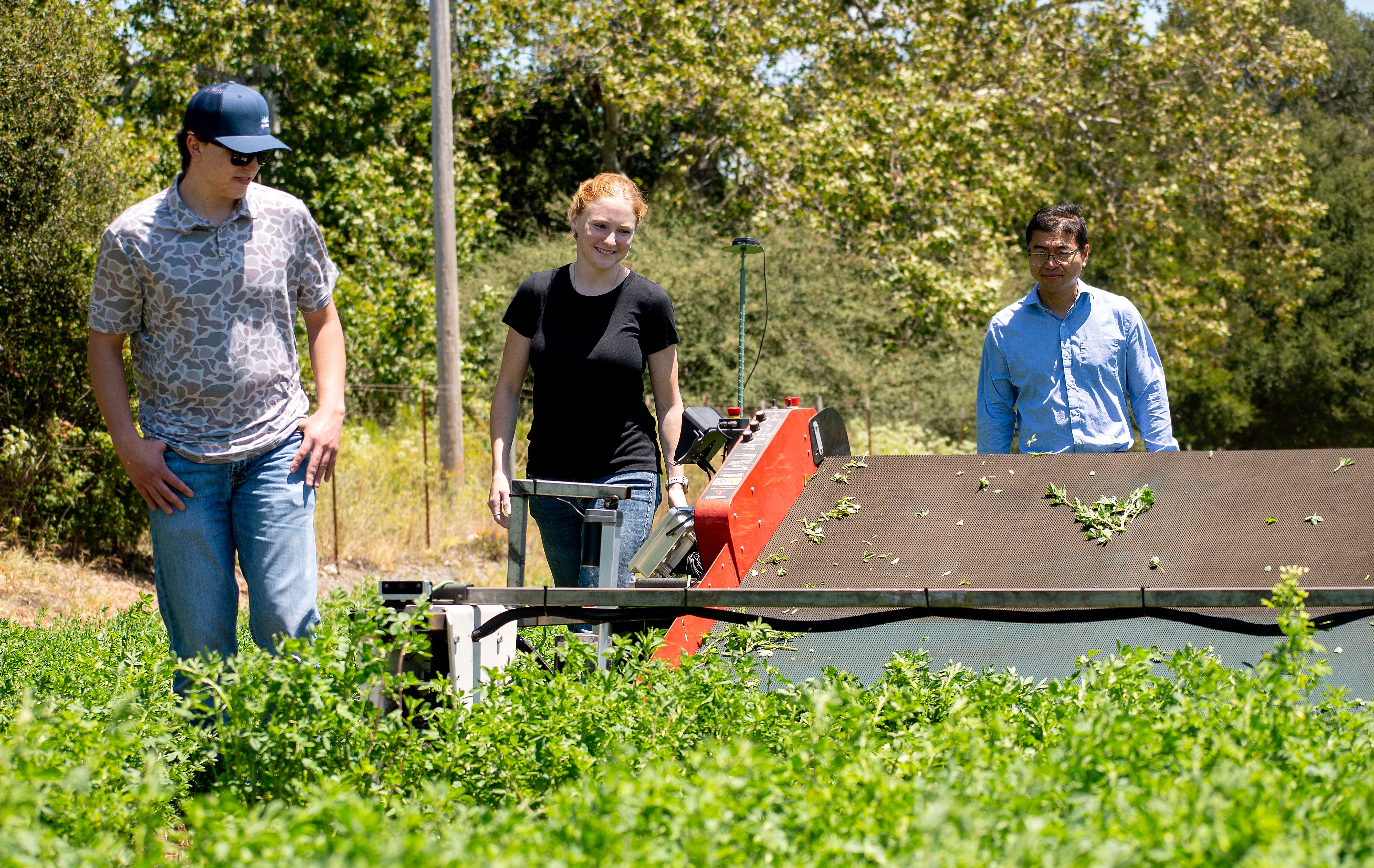 Two students and their professor walk alongside an autonomous lettuce harvester in a field. 