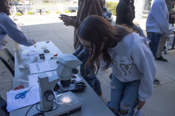 Student examining a sample through a microscope at an outdoor science activity table during a campus outreach or educational event.