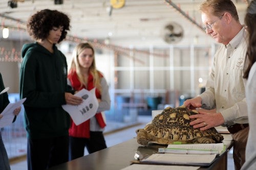 Instructor demonstrating tortoise handling and animal care techniques to students during a hands-on wildlife or veterinary science learning activity.