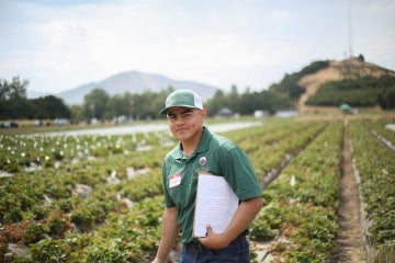 A person stands in a cultivated agricultural field holding a clipboard, with rows of crops and hills visible in the background.