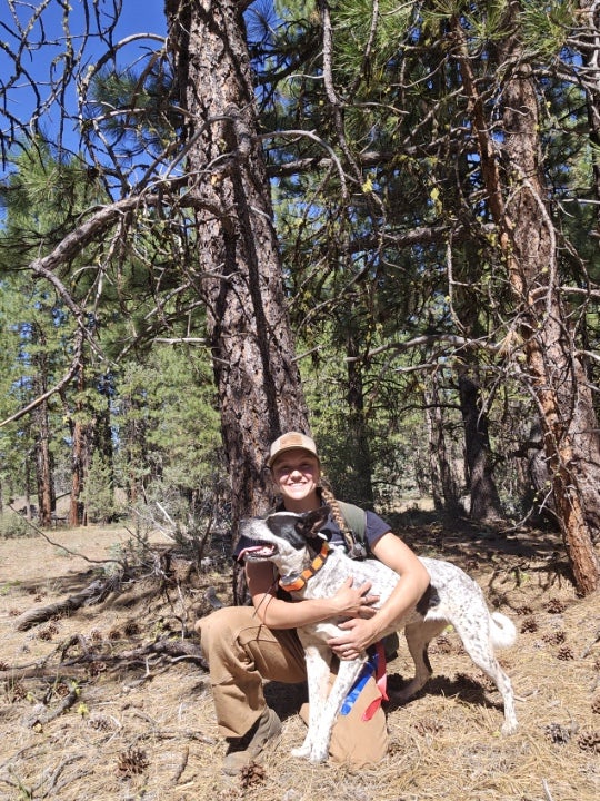 A person kneels in a forest while smiling and holding a dog wearing a harness and ribbons.