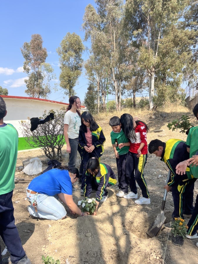 Students and adults work together outdoors to plant flowers in the ground near a schoolyard with trees and dry landscaping.