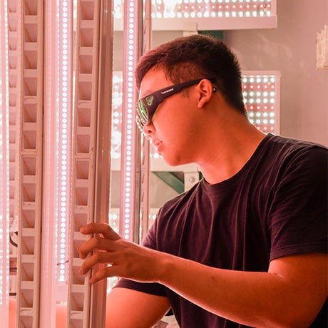 A person wearing protective glasses adjusts equipment inside an indoor growing environment illuminated by pink LED lighting.