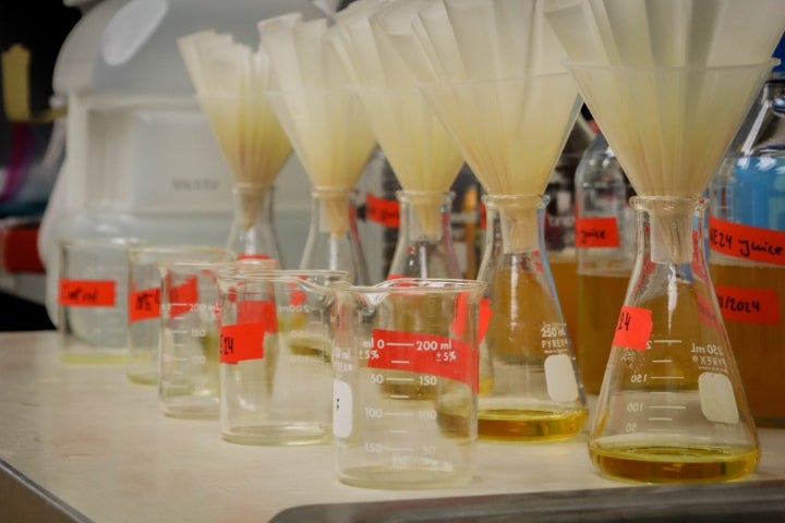 Laboratory glassware and filtration equipment arranged on a workbench during a food science or chemistry experiment.