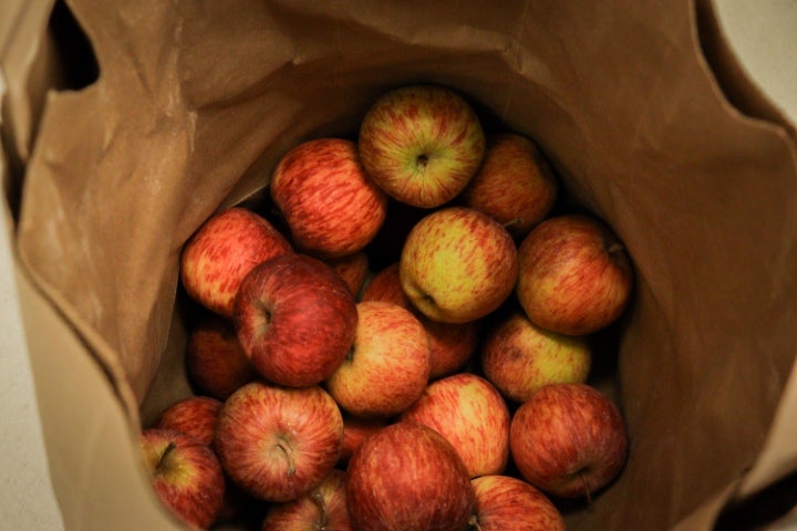 A bag filled with freshly harvested red and yellow apples viewed from above.