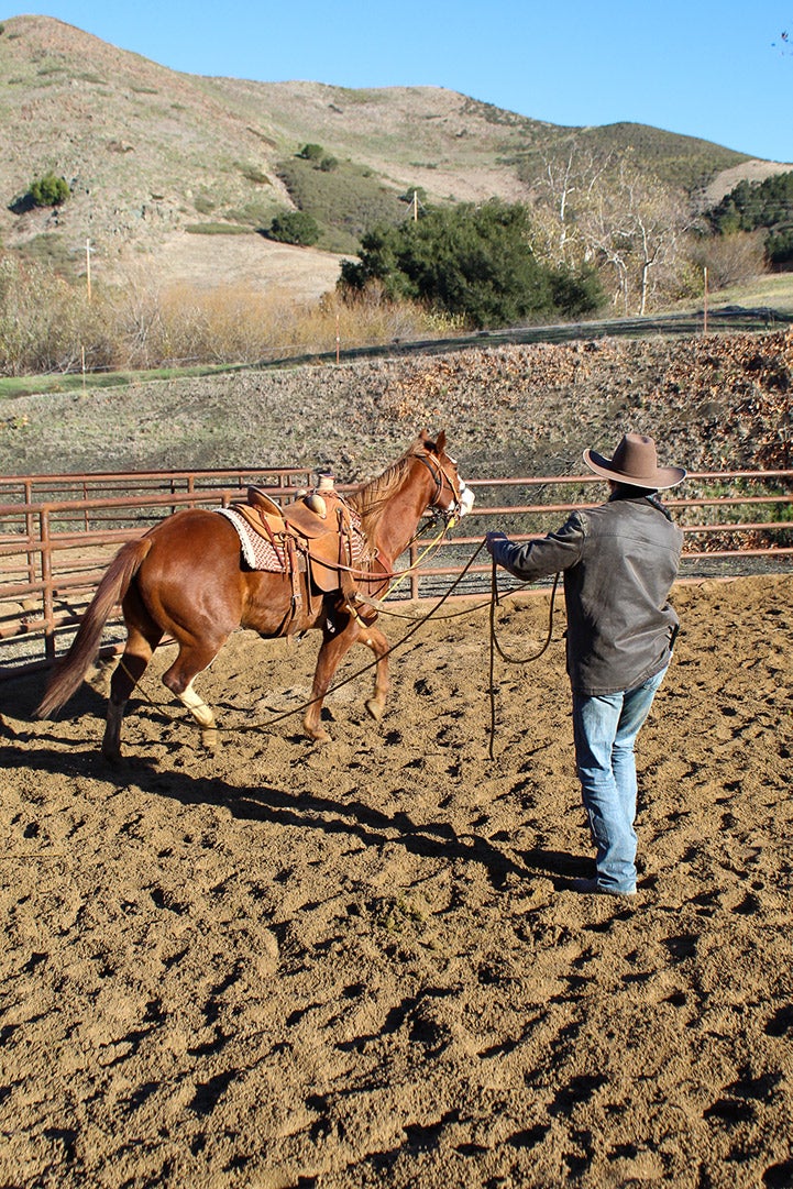 Person training a saddled horse in an outdoor riding arena surrounded by hills and fencing.
