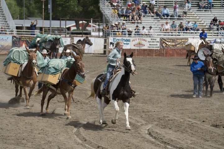 Students riding and guiding pack mules during a rodeo or livestock handling competition inside an arena.
