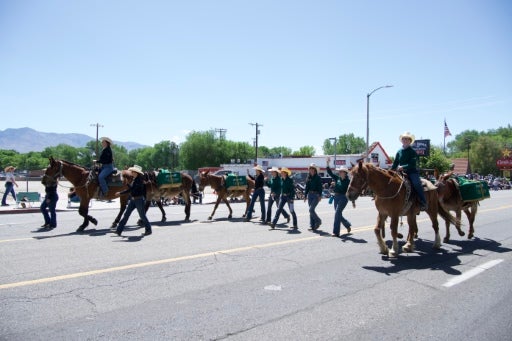 A group of riders on horseback and participants walking alongside pack animals travel down a street during a parade or community event on a sunny day.