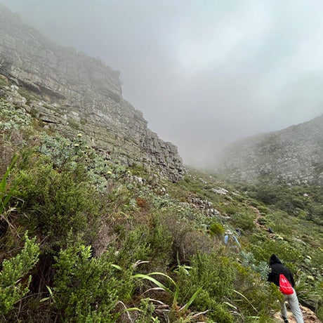 Hikers walking through a rugged mountainous landscape covered in dense vegetation and rocky cliffs, with low clouds and fog surrounding the terrain.