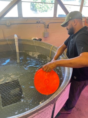 A person works beside a large indoor aquaculture tank in a fish research or hatchery facility.