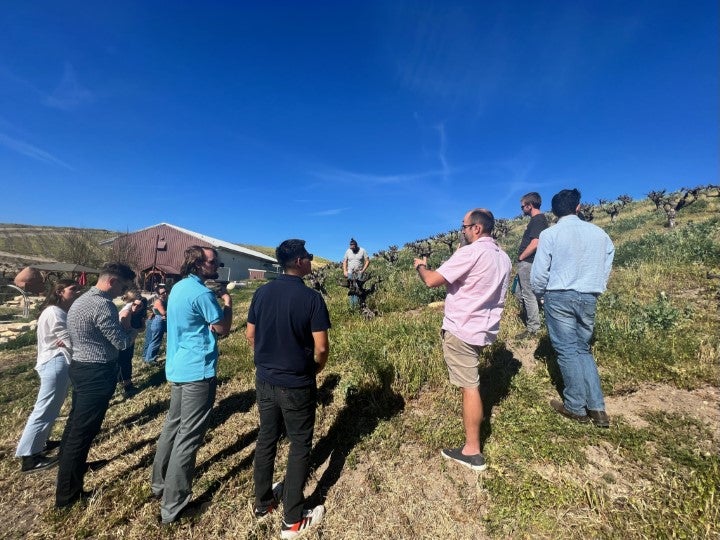 Students and instructors standing on a hillside vineyard while listening to a guide discuss vineyard operations and grape growing practices.