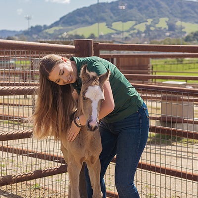 A person hugs a young foal inside a fenced horse enclosure with hills visible in the background.