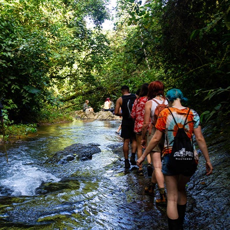 Group of students hiking through a shallow rainforest stream during an outdoor environmental or ecology field experience.