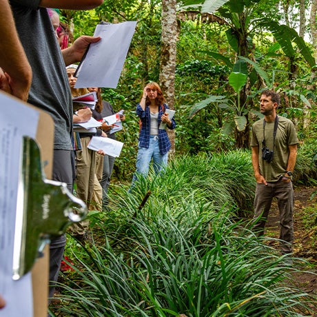 Students and instructors standing in a tropical forest during a field study activity, holding notebooks and observing the surrounding environment.