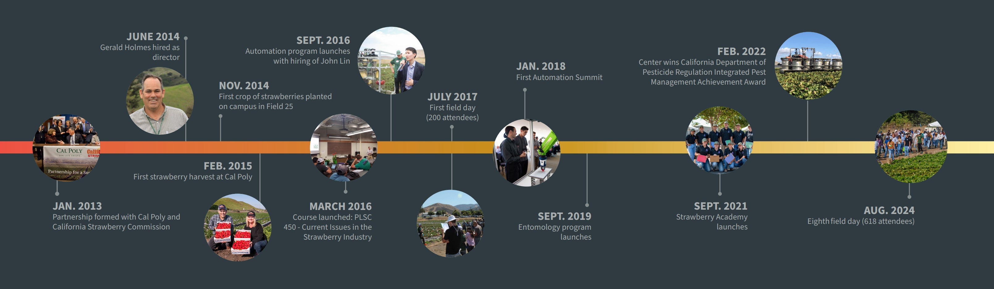 A visual timeline highlights key milestones and achievements from 2013 to 2024 for a strawberry research and education program, featuring photos, major program launches, field days, awards, and academic initiatives.