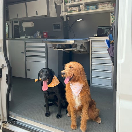 Two dogs sitting inside a mobile veterinary clinic van, wearing bandanas and posing at the entrance of the fully equipped animal care vehicle.