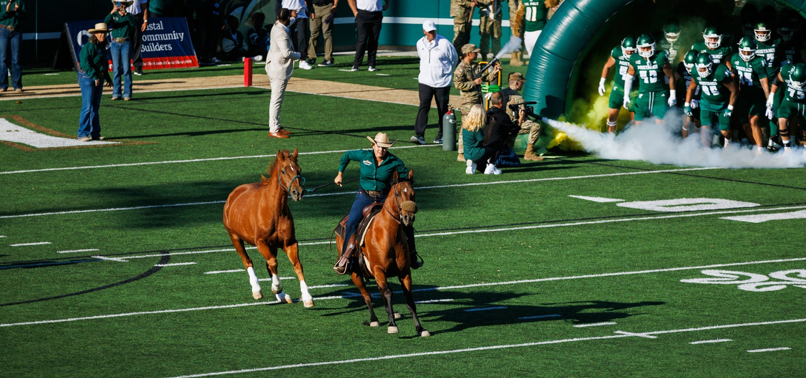 Cal Poly's live mustang mascot, Chase, runs onto the field at Spanos Stadium. 