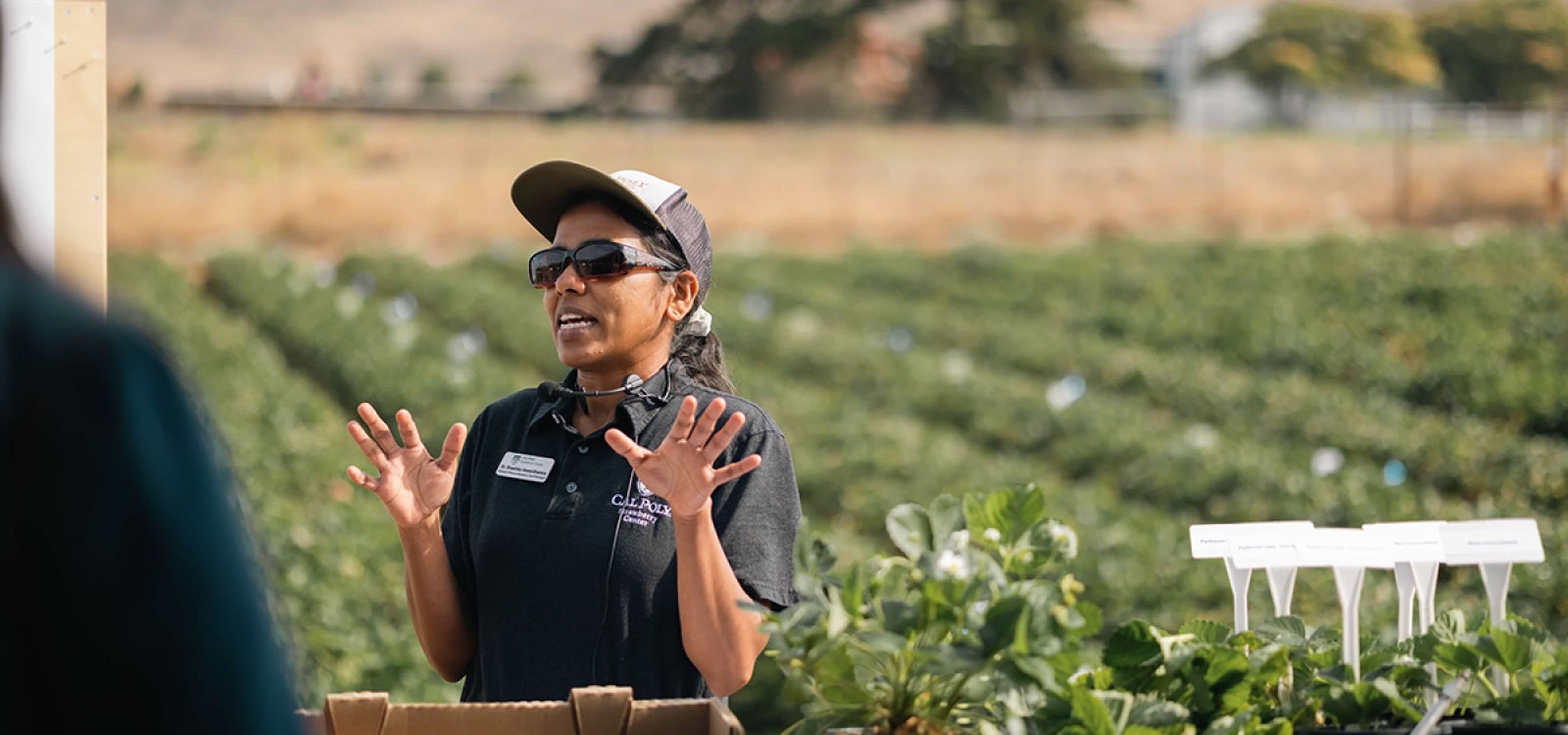 Cal Poly Strawberry Center's Strawberry Field Day. 