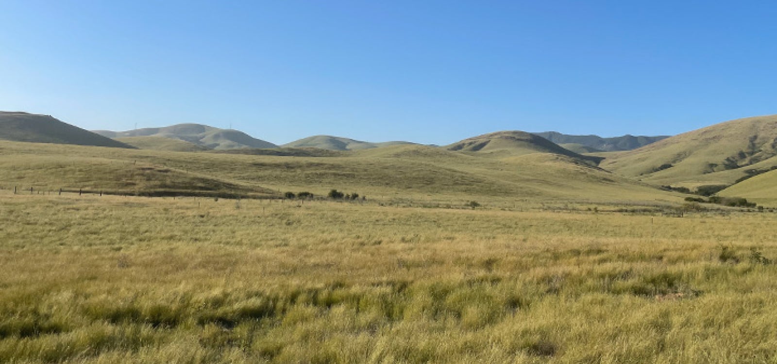 Cal Poly Pasture Land