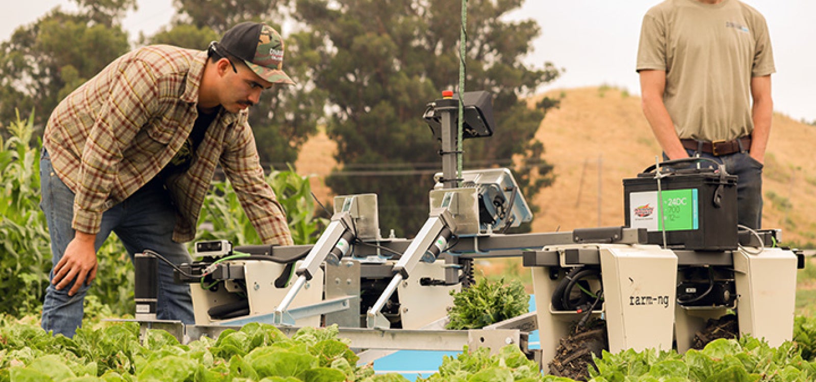 Students bend over working on a bug vacuum in a field of lettuce, assisting with agricultural field tech.