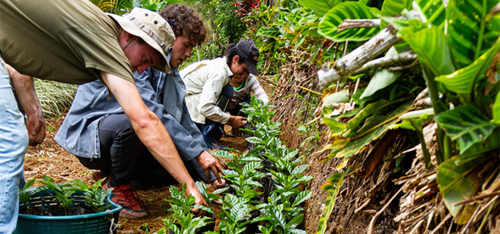 College of Agriculture, Food and Environmental Sciences students learning in Costa Rica