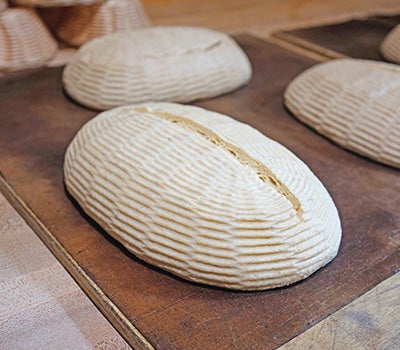 Several oval-shaped loaves of artisan bread rest on wooden boards during the proofing process.