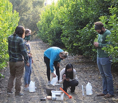 A small group of masked students conduct fieldwork in an orchard, examining samples and taking notes along a dirt path.