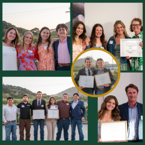 A square collage graphic with five photos each with students holding up certificates earned. 