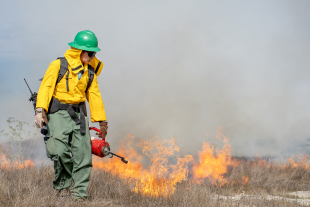 A Fire Ecology and Wildlife Hazard Planning student works a prescribed burn.