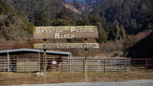 The Swanton Pacific Ranch 