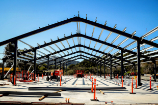 The metal framing of the future Plant Sciences complex is exposed as construction begins. 