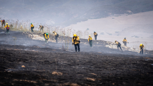 Students look for hotspots following a prescribed burn on Cal Poly land. 