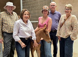 From left to right: Frank Tripiano, Susan Schwabacher, an animal science student,  Tom Scott and Allison Rohnert during a visit to Cal Poly’s Oppenheimer Family Equine Center.