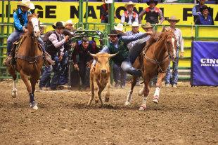 Cal Poly rodeo students at the Peterson Rodeo