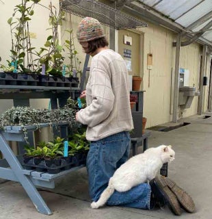 A white cat sits on the feet of a student who is on their knees watering plants at the Cal Poly Plant Shop.  