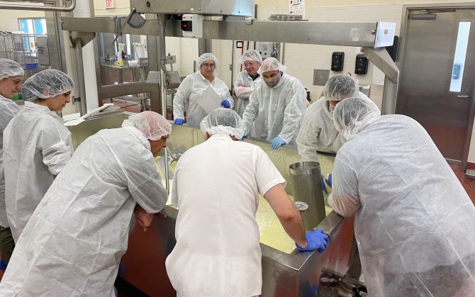 A group of people in protective lab gear gather around a large vat, observing and working with a cheese mixture