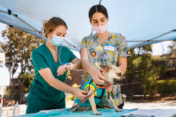 IT'S A BIG JOB. Help run a Vet Clinic.