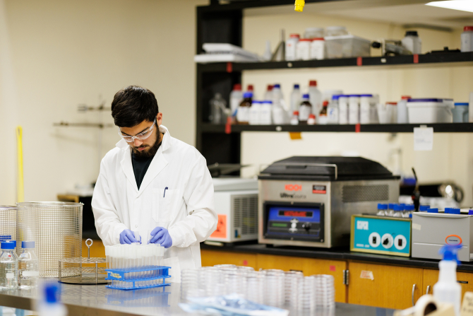A food science and nutrition graduate student works on the identification of potential surrogates for listeria in citrus.