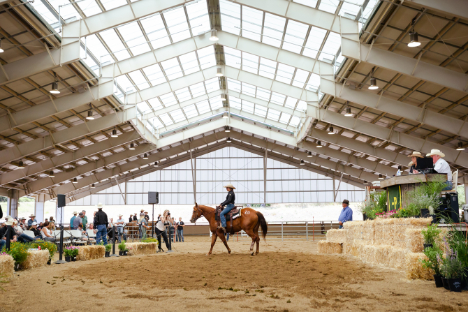 Students show at the Cal Poly Performance Horse Sale.
