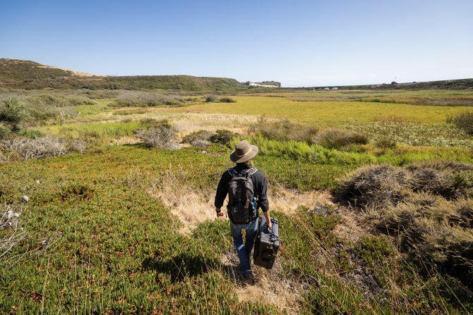 A College of Agriculture, Food and Environmental Sciences graduate student carries equipment at Swanton Pacific Ranch.