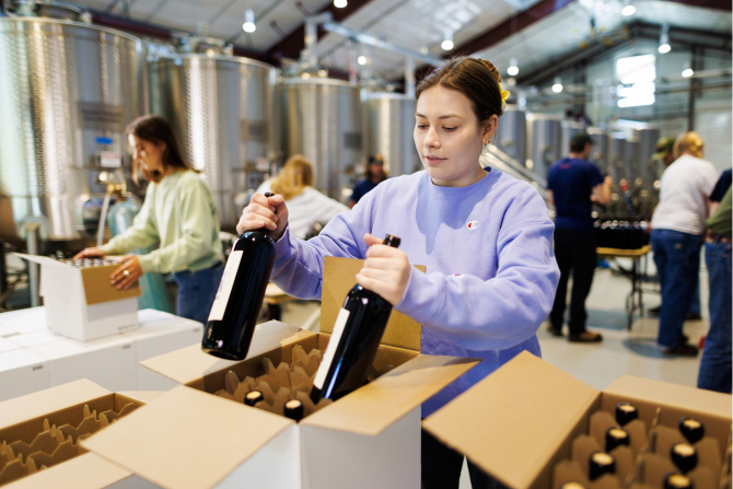 A Wine and Viticulture Student within the College of Agriculture, Food and Environmental Sciences bottling wine 