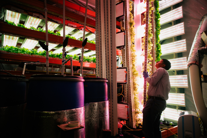 The BRAE Vertical Farm student researchers work to determine how injecting nanobubbles into a hydroponic farm's water supply affects the growth of leafy greens, such as lettuce.
