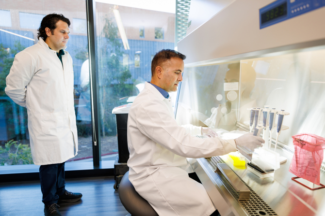 Graduate work to isolate DNA to find out what kind of microbes are in chickens that have been fed with carrot pomace.