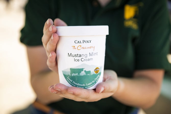 A pint of Cal Poly student-made Mustang Mint ice cream