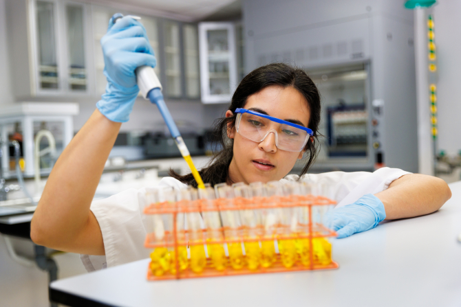 Students research how to convert olive pomace into a renewable energy source. 