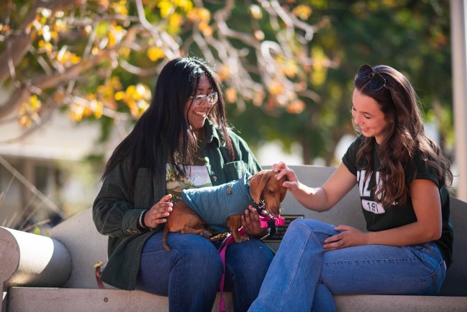 College of Agriculture, Food and Environmental Sciences students pet an emotional support animal.
